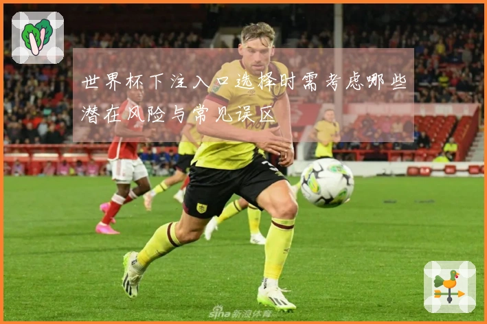 世界杯下注入口选择时需考虑哪些潜在风险与常见误区